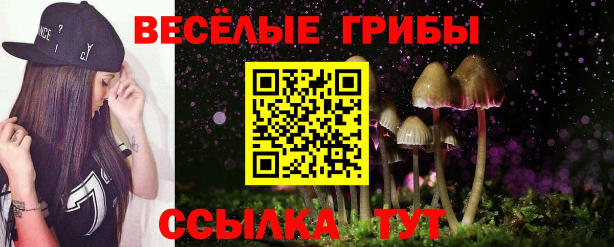 Псилоцибиновые грибы Cubensis Великие Луки